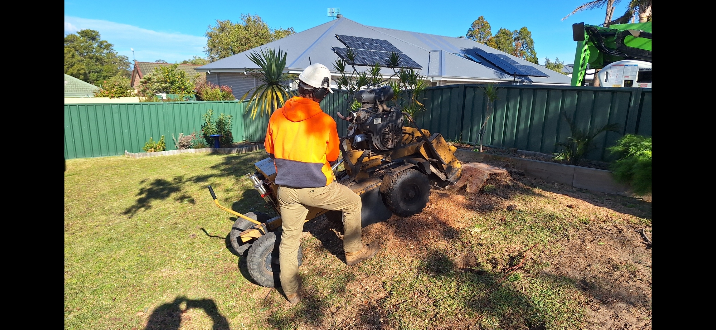 In the image, a tree specialist from Nowra Tree Service is operating a stump grinder in a well-maintained backyard setting. The worker is dressed in appropriate safety gear, including a bright orange hoodie and a helmet, emphasizing the importance of safety in tree care and maintenance. The stump grinder, a robust machine, is being used to grind down a tree stump that appears to have been freshly cut, allowing for the area to be cleared and potentially landscaped. The background shows a house with solar panels on the roof and a neatly trimmed garden area, indicating a residential property in Nowra. This scene illustrates the practical aspects of the tree services offered by Nowra Tree Service, highlighting their expertise in arboriculture and stump removal, essential for maintaining the aesthetic and safety of properties in the area.