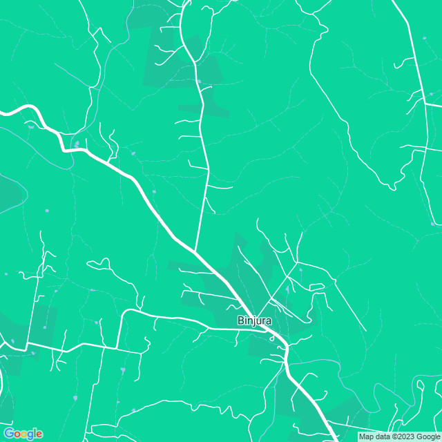 Map showing the location of P For Plastering in Binjura, NSW 2630