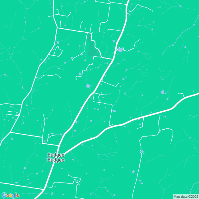 Map showing the location of Panther Mining Pty Ltd in Budgee Budgee, NSW 2850