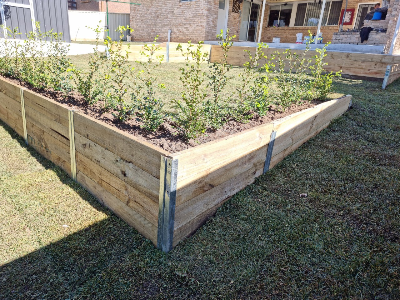The image showcases a raised garden bed constructed from wooden planks, featuring young green plants arranged neatly along the top edge. The garden bed is set against a backdrop of a lawn, with a brick building visible in the distance.