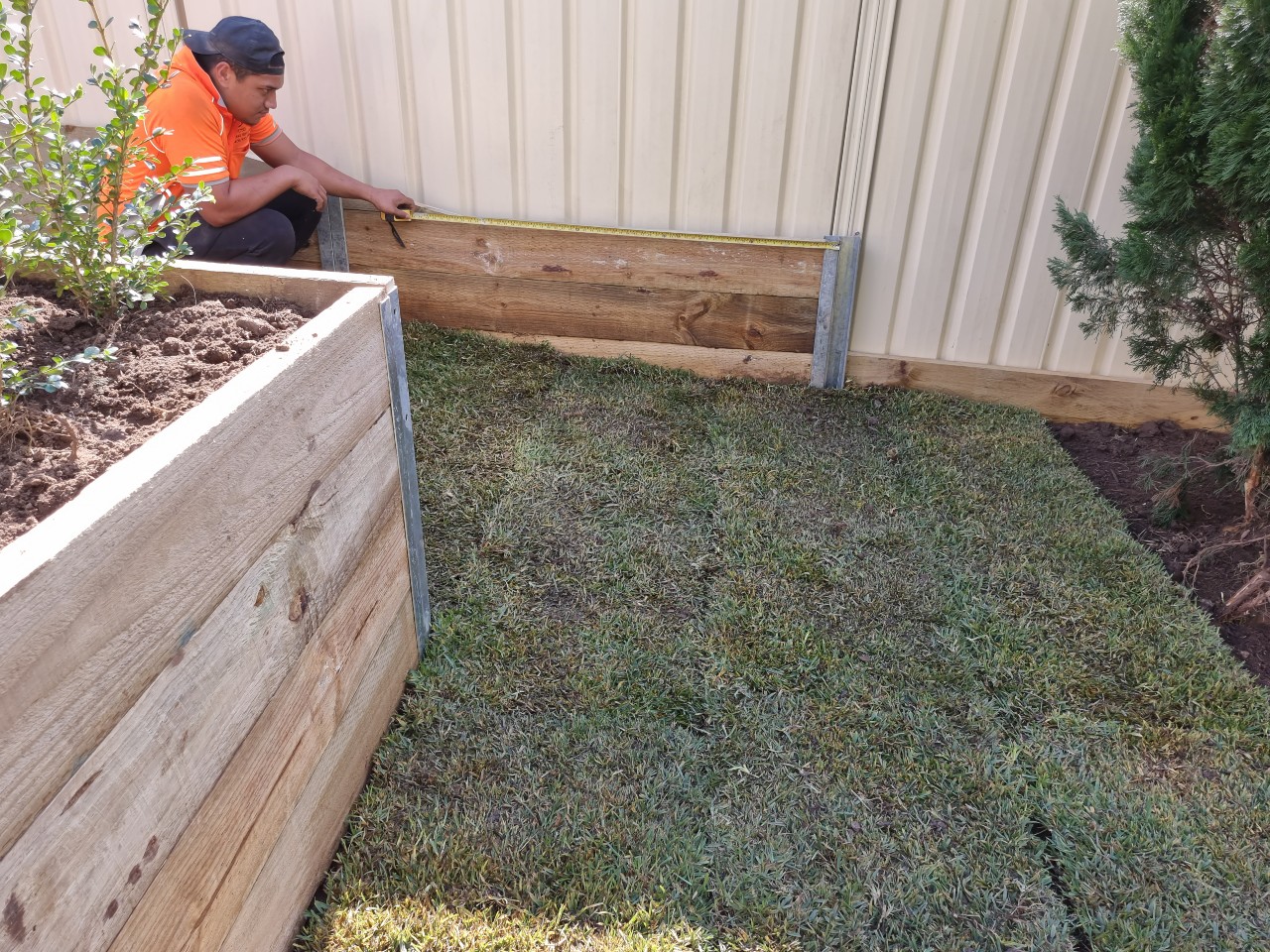 Professional landscaping services in Sydney, featuring garden installations and maintenance for vibrant green spaces.