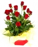 Logo for Carina Florist Ashfield