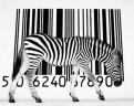 Barcode Equipment @ Barcode Direct Logo