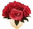 Logo for Florist Darling Harbour
