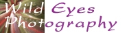 Logo for Maternity & Children's Photography Adelaide