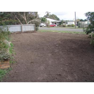 Removed 2 Trees And Lage Stump.