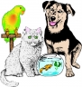 Rhuarc's Pet Supplies
