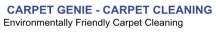 Logo for Carpet Genie