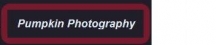 Logo for Pumpkin Photography