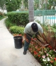 Brooklea Gardens & Maintenance
