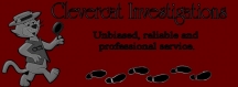 Logo for Clevercat Investigations