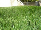 Logo for Artificial Grass by Southern Hydroseeding Melbourne