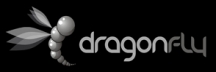 Logo for A Dragonfly Importing and Exporting Pty Ltd