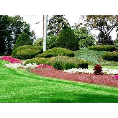 Melbourne Garden Landscaping & Irrigation Specialists.