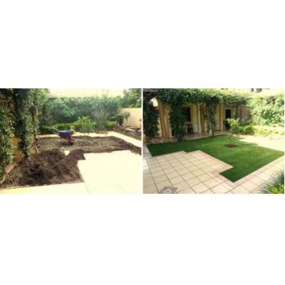 Before & After