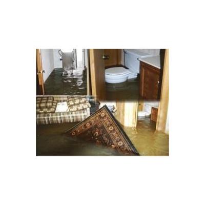 Any sorts of flood damage restoration