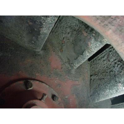 Mould Contamination on AHU Fan