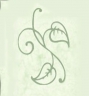 Logo for Wedding Celebrant Warradale