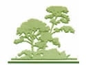 Logo for Tree Lopping Rockingham