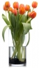 Logo for Online Flower Delivery Gold Coast