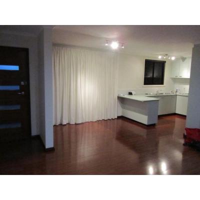 Floating floors and wall removal, plaster and paint.