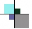 Logo for Surveyor Newcastle