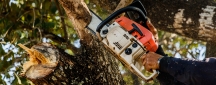 John's Tree Services North Shore Logo