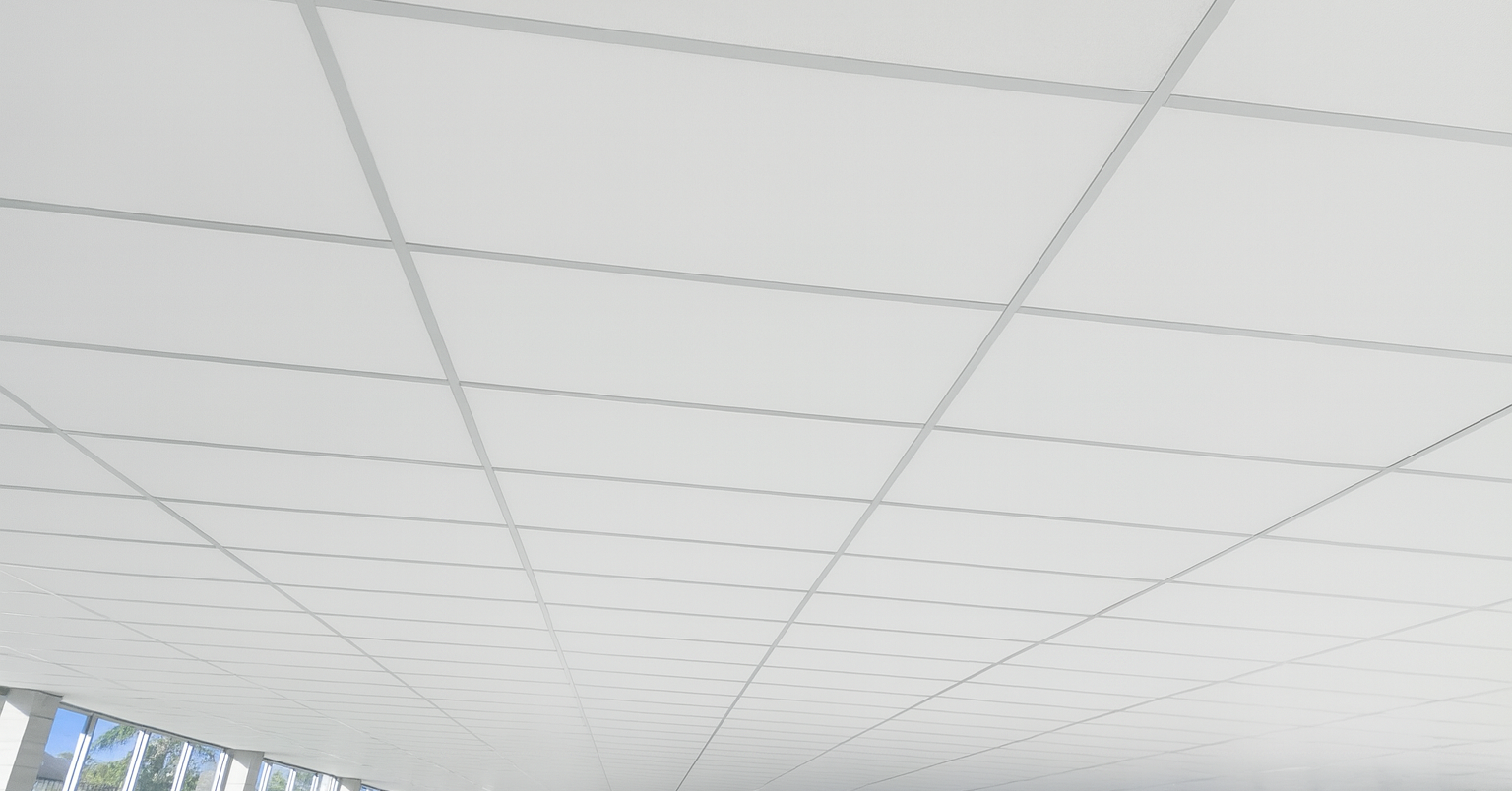 Suspended Ceilings QLD