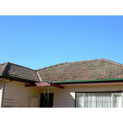 A terracotta roof in need of some work