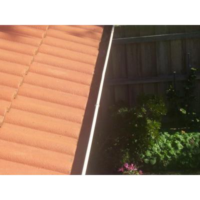 GUTTER BEFORE GUTTER GUARD