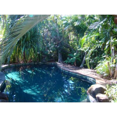 A natural looking Antique (black) vinyl liner
