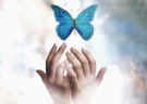 Logo for NATURES HOLISTIC MEDICINE