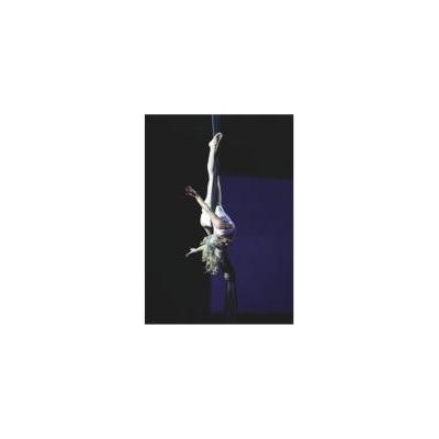 All sorts of acts and entertainers to suit your event