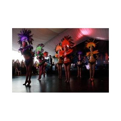 Corporate Show and Entertainment solutions to wow all types of audiences and to suit all different themes