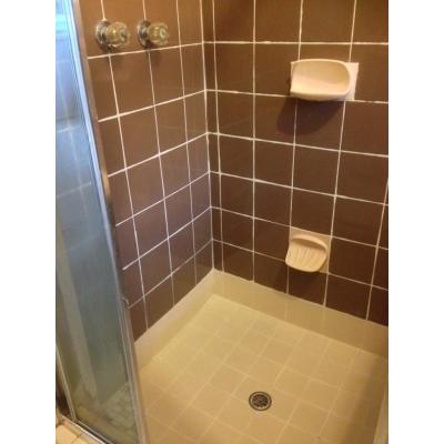 waterproofed and repaired old shower Revesby