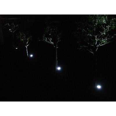 automatic energy efficient garden lights