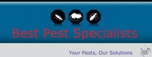 Logo for Cheap Pest Control Northmead