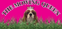 Logo for Lawn Mowing The Ponds
