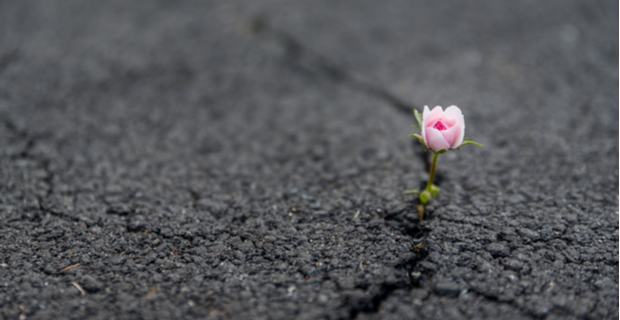 Mental Hearts Counselling Services