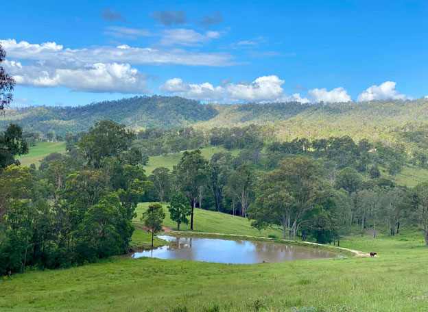 The image showcases a picturesque view of the scenic landscape surrounding Yalbaroo Scenic Rim Retreat. A tranquil pond is nestled in the lush green pastures, reflecting the clear blue sky and fluffy white clouds above. The surrounding hills and dense trees add to the natural beauty, creating an idyllic setting for guests to relax and enjoy the great outdoors. This serene environment is perfect for holidaymakers seeking a peaceful countryside escape in Cainbable, QLD, and the retreat offers easy access to nearby locations such as Flying Fox, Illinbah, Sarabah, Kerry, and Nindooinbah. Its location allows guests to fully immerse themselves in nature, whether it's fishing at the pond, hiking in the hills, or simply enjoying the stunning views.