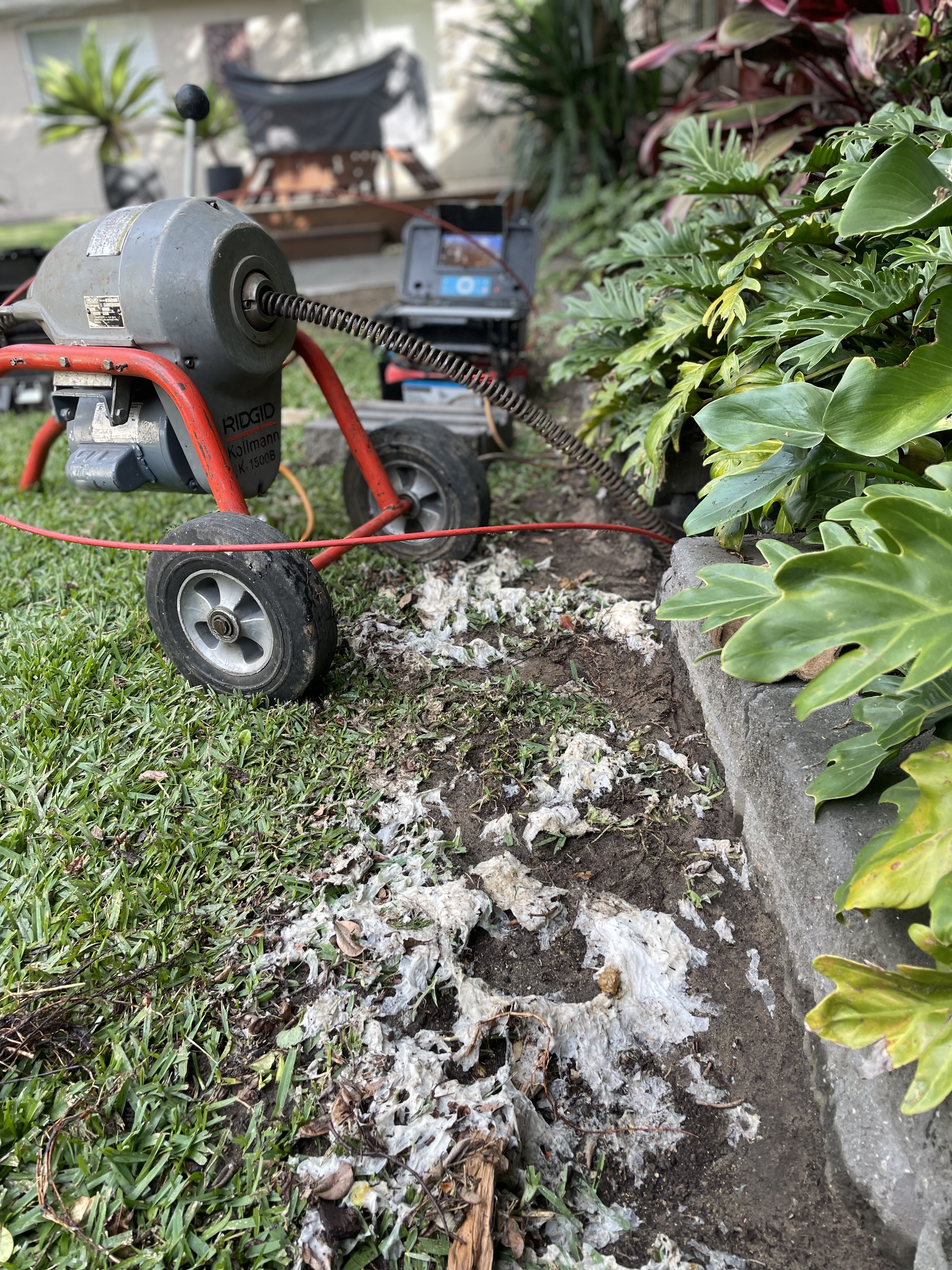 The image displays a drain cleaning machine parked on a grassy area, with visible clumps of debris and possibly roots from plants scattered around. The machine, featuring red wheels and a grey casing, is likely used for clearing blocked drains. The surrounding area includes lush green plants and appears to be in a residential setting, indicating that the machine is in the process of servicing a drainage issue. The presence of debris suggests recent work to clear the drain, which aligns with the services provided by Drain Clearing Penrith.