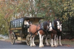 Logo for Clydesdales Horse Drawn Restaurant