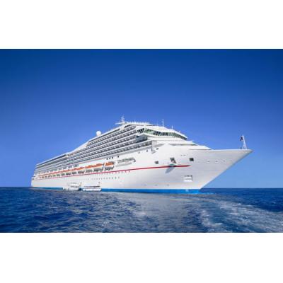 Save money and hassle by travelling on a cruise. Ask to speak to our resident cruise expert about a cruise best suited to you!