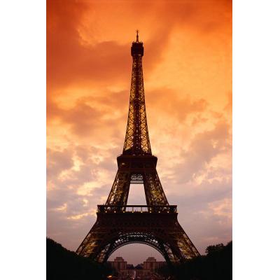 Discover a world of travel options by contacting Preston Travel today!