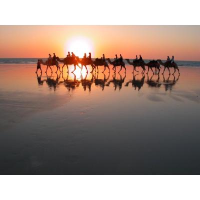 Can you see yourself here? Contact us today for the latest Australian Touring Packages
