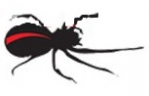 Logo for Pest Control Perth by Chambers Pest Solutions