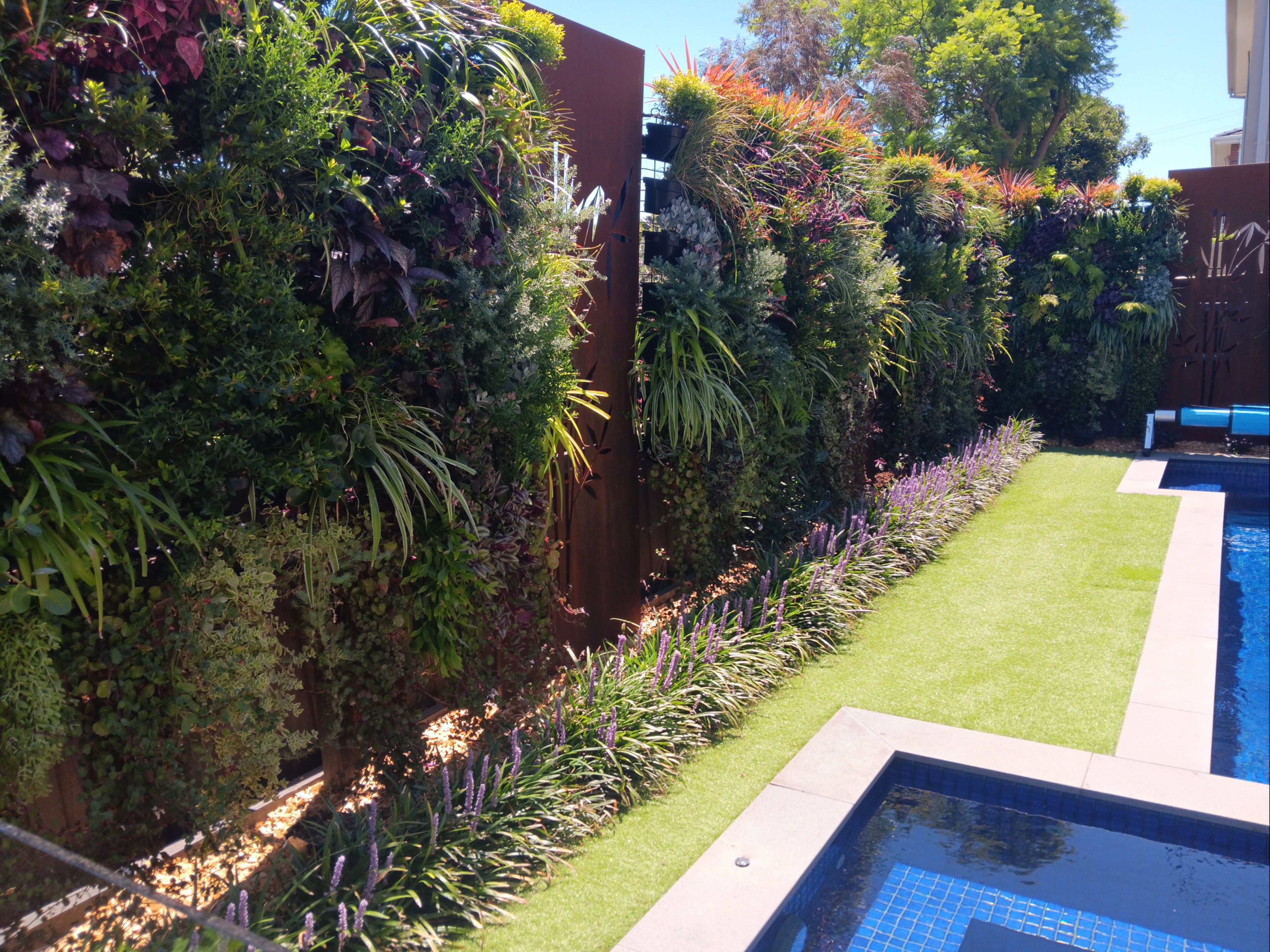 The image showcases a beautifully designed vertical garden, featuring a variety of lush green plants that create an attractive and vibrant backdrop. The vertical garden is framed by a rustic metal wall, enhancing the modern aesthetic of the outdoor space. In the foreground, a well-maintained strip of greenery leads towards a stunning blue swimming pool, reflecting the clear sky above. This harmonious blend of elements promotes relaxation and adds a luxurious touch to the garden area, ideal for outdoor entertaining.