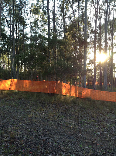 The image depicts a wooded area surrounded by orange construction fencing, indicating a sectioned-off part of the forest. The sunlight is filtering through the trees, creating a serene atmosphere. This could be related to tree services such as clearing or maintenance in preparation for land clearing or fire trail creation, relevant to the services provided by Reeper Mulching. The presence of the fencing suggests that safety measures are in place for the ongoing work in this area.