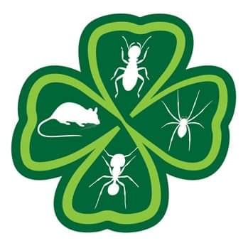 Ryan's Termite & Pest Control profile picture