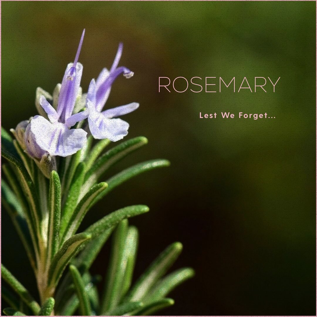 The image beautifully displays a sprig of rosemary with delicate purple flowers, set against a softly blurred green background. This depiction highlights the herb’s significance, both culinary and therapeutic, appealing to the ethos of natural healing prevalent in naturopathy. The phrase "Lest We Forget..." suggests a commemoration, perhaps linking the herb to memories of loved ones or traditional uses in remembrance rituals. This imagery could be used in marketing campaigns focused on the healing properties of herbs, or to promote workshops on herbal remedies at Herb Bar.